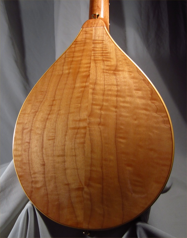 laughlin mandolin